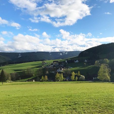 Ferienhaus Robin Titisee-Neustadt Dış mekan fotoğraf