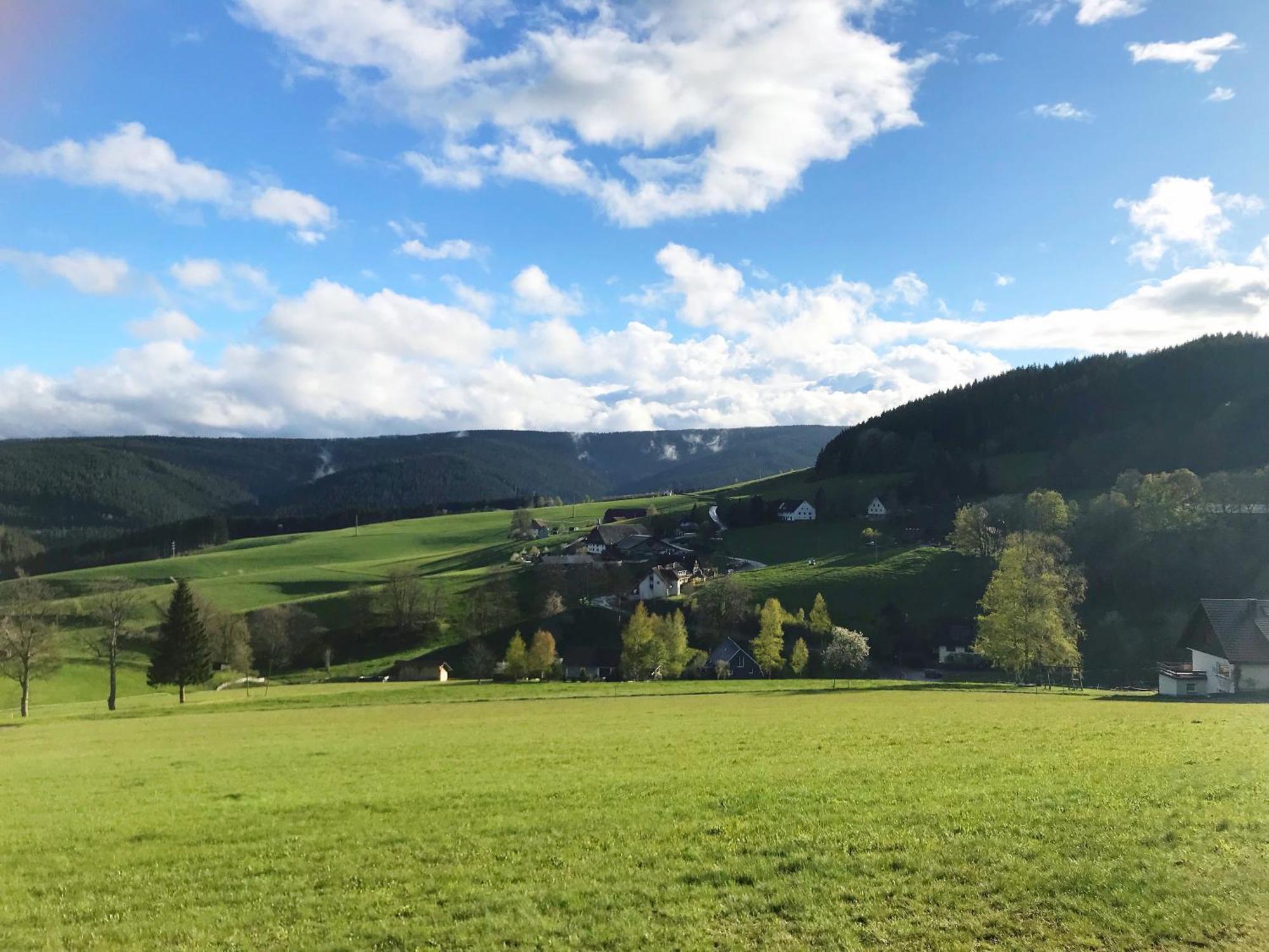 Ferienhaus Robin Titisee-Neustadt Dış mekan fotoğraf