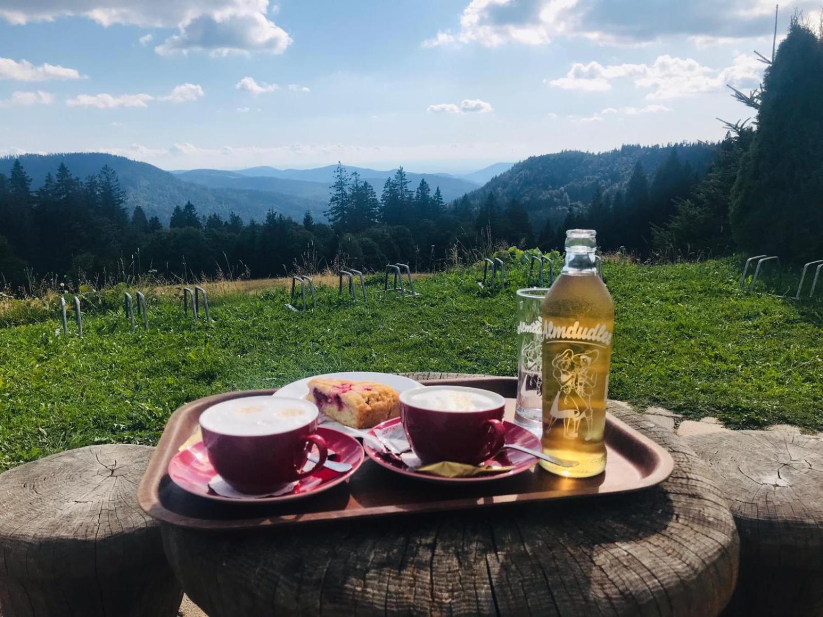 Ferienhaus Robin Titisee-Neustadt Dış mekan fotoğraf
