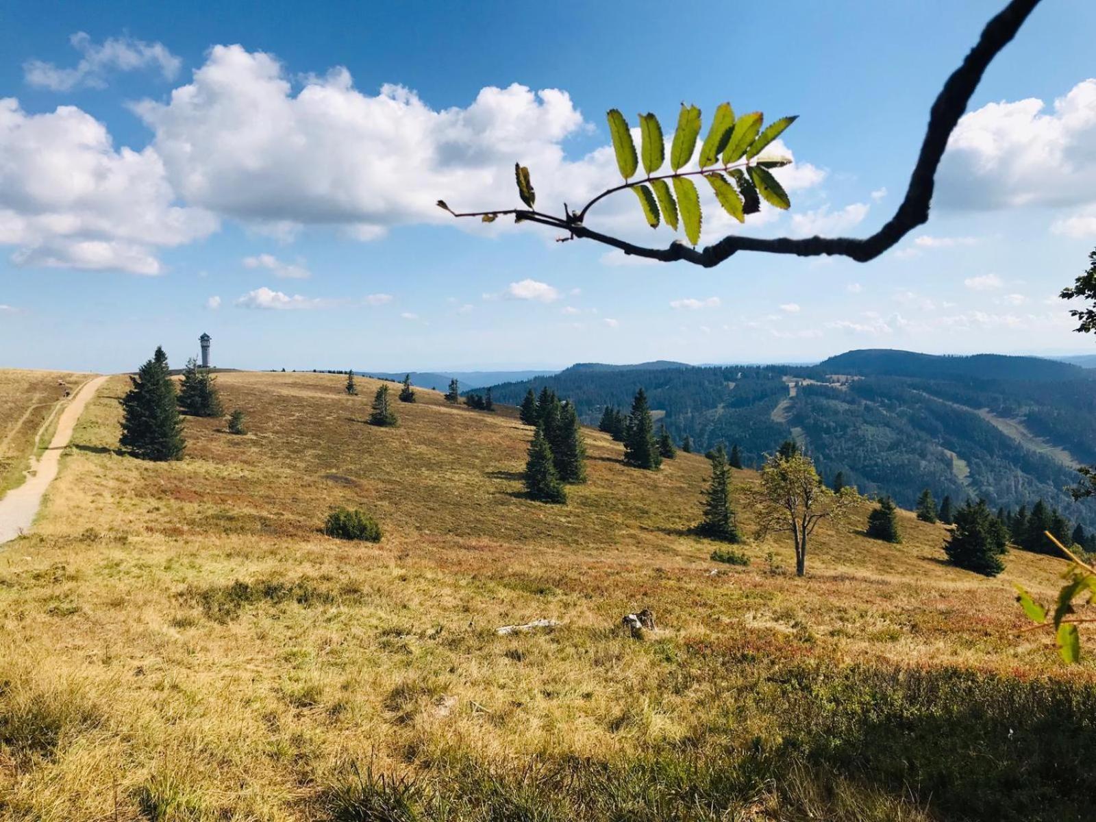Ferienhaus Robin Titisee-Neustadt Dış mekan fotoğraf