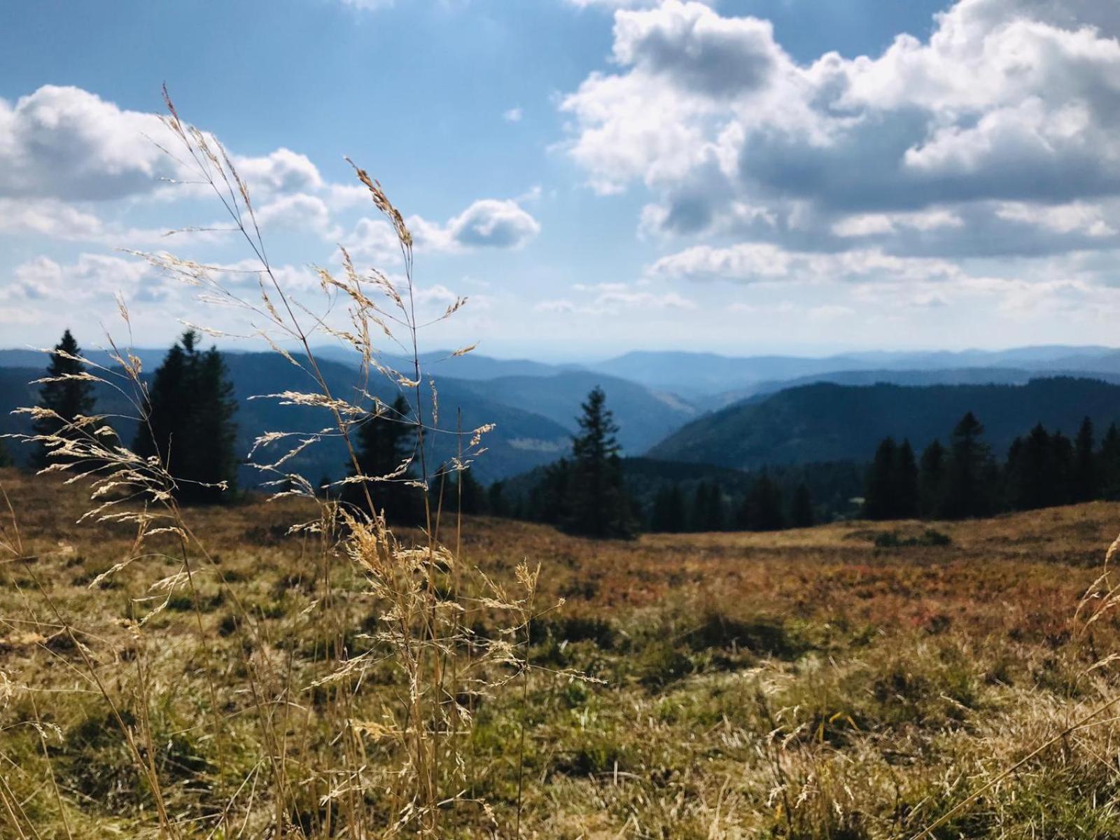 Ferienhaus Robin Titisee-Neustadt Dış mekan fotoğraf
